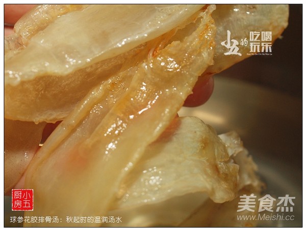 球参花胶排骨汤的步骤