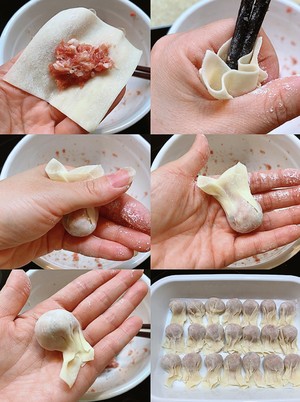 鲜肉小馄饨的做法 步骤2