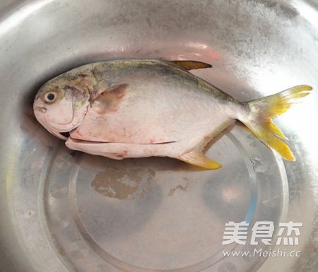 广东清蒸金鲳鱼的步骤