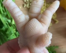 网红柠檬