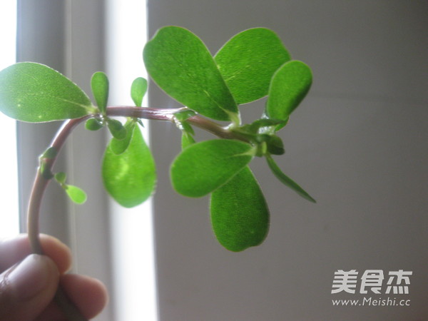 陕西麻子菜馍的步骤