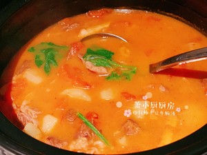 美味好喝的西红柿土豆牛腩汤的做法 步骤15