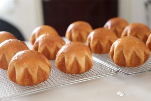 一波长了角的巨蛋面包的做法 步骤16