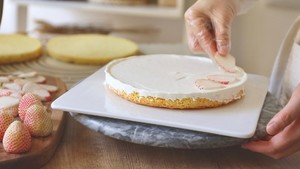 白草莓奶油蛋糕的做法 步骤14